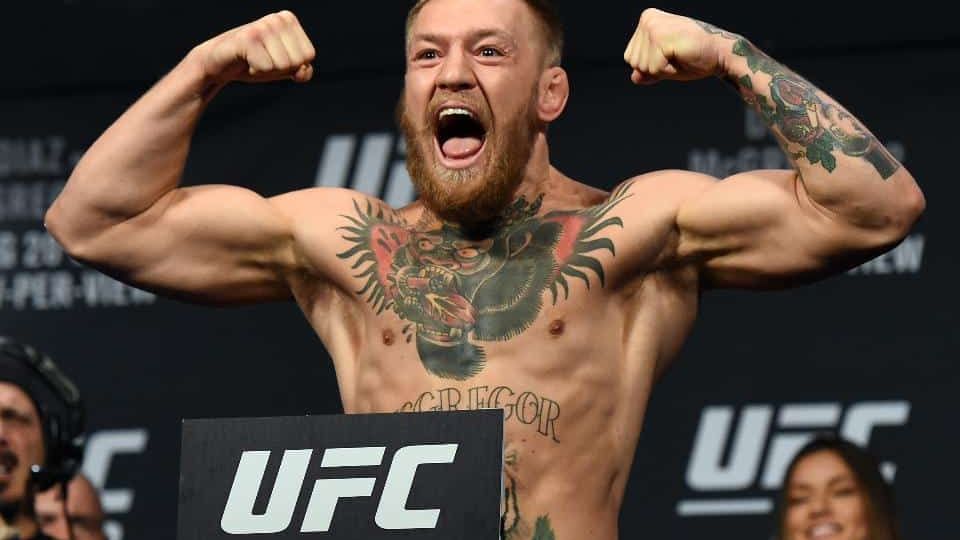 ufc-205-betting-preview