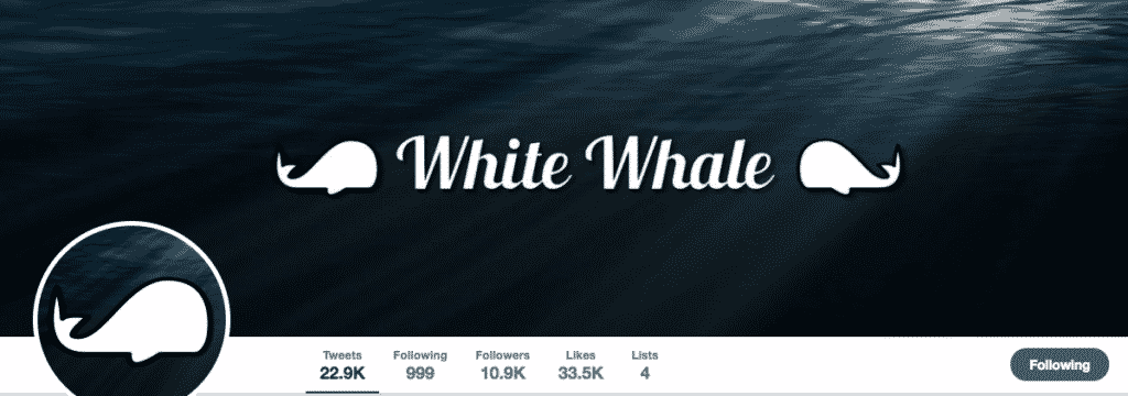 whale-capper-twitter
