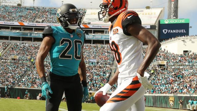 Cincinnati Bengals v Jacksonville Jaguars