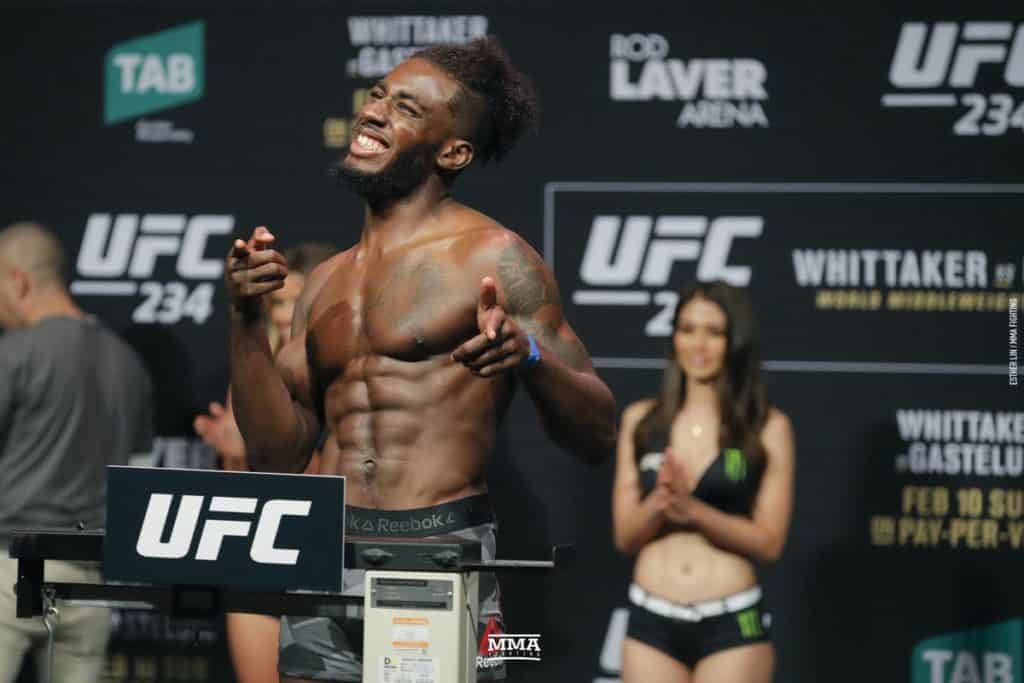 UFC 241: DraftKings Picks (Free DFS Picks)