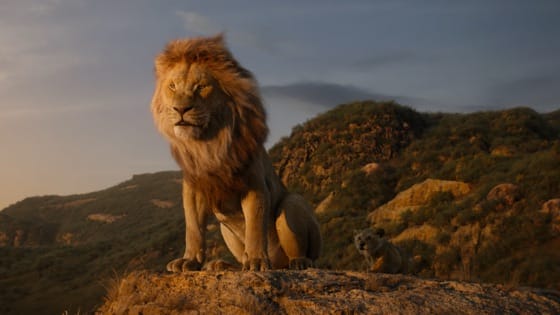 Oscar Odds: 92nd Academy Awards Picks, Longshots - How To Turn $100 Into $2,000