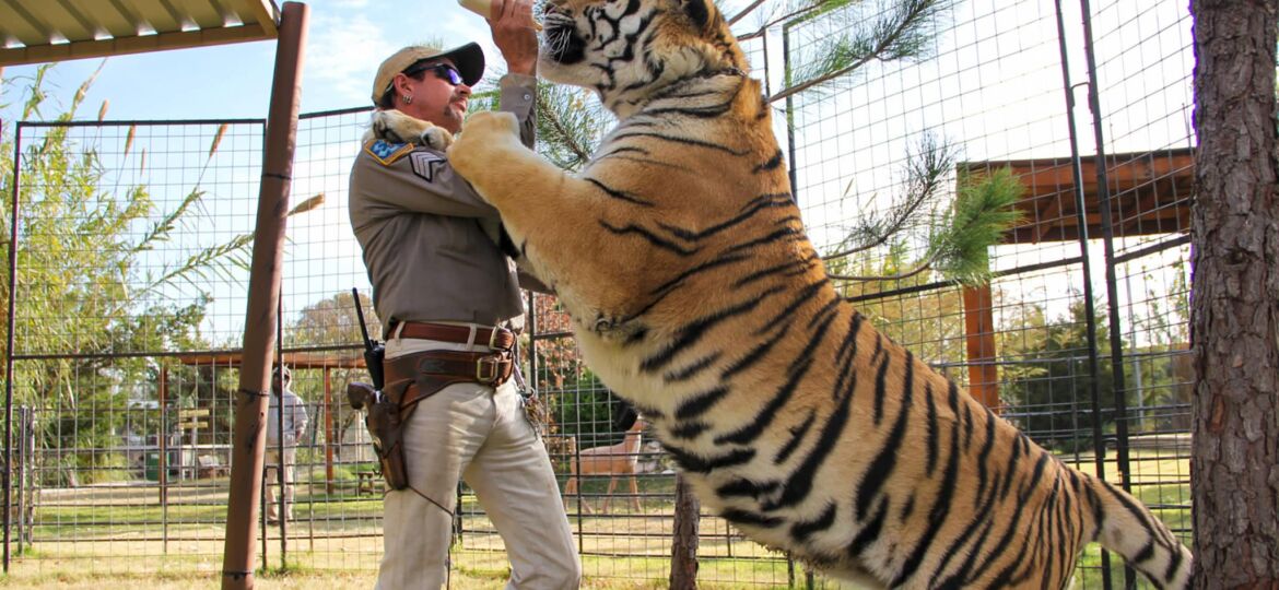 Screenshot_2020-04-02 200330-joe-exotic-tiger-king-ew-541p_cc0492d68f825ff21f6227708a5ffc8f jpg (JPEG Image, 2500 × 1666 pi[...]