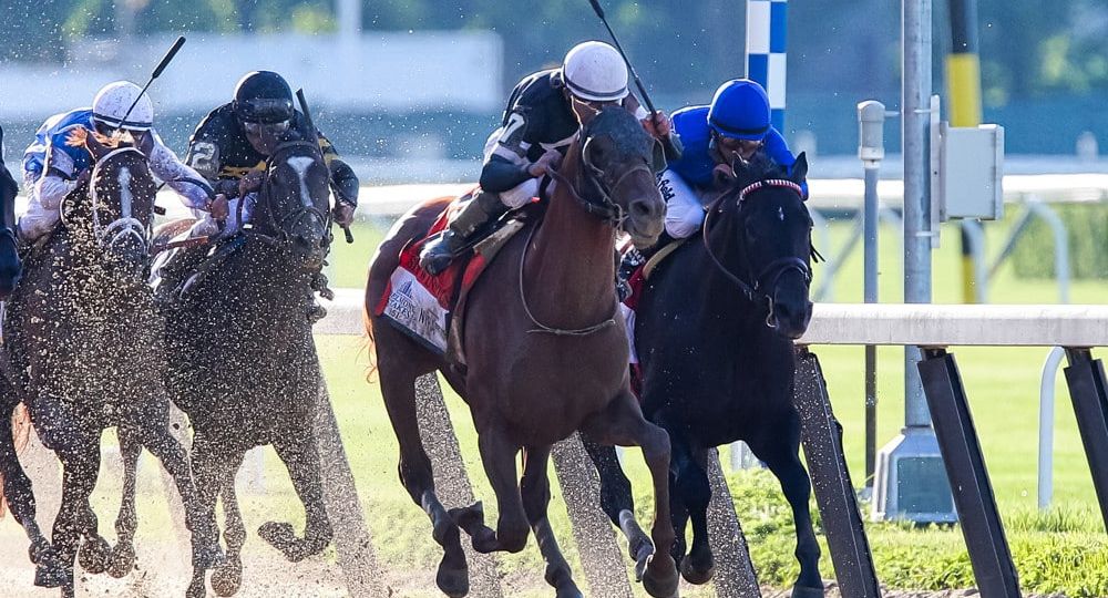 Belmont Stakes 2020 Preview: Odds, Picks and Cheatsheet