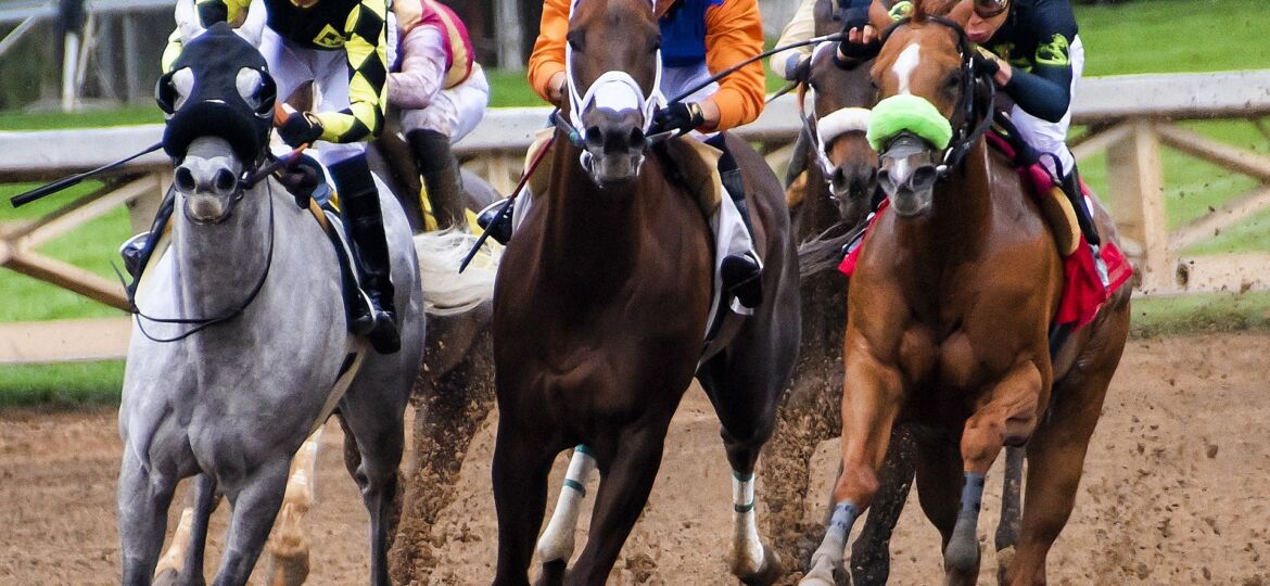 horses-3811270_1920