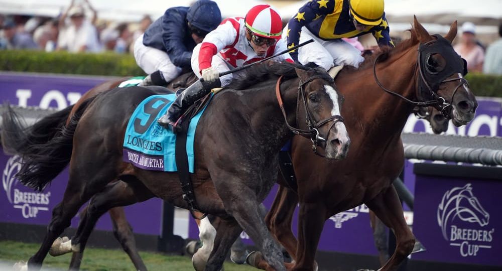 Breeders Cup - Analysis and Picks