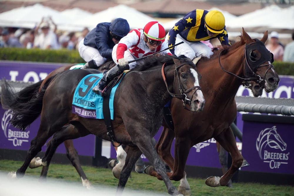 Breeders Cup - Analysis and Picks