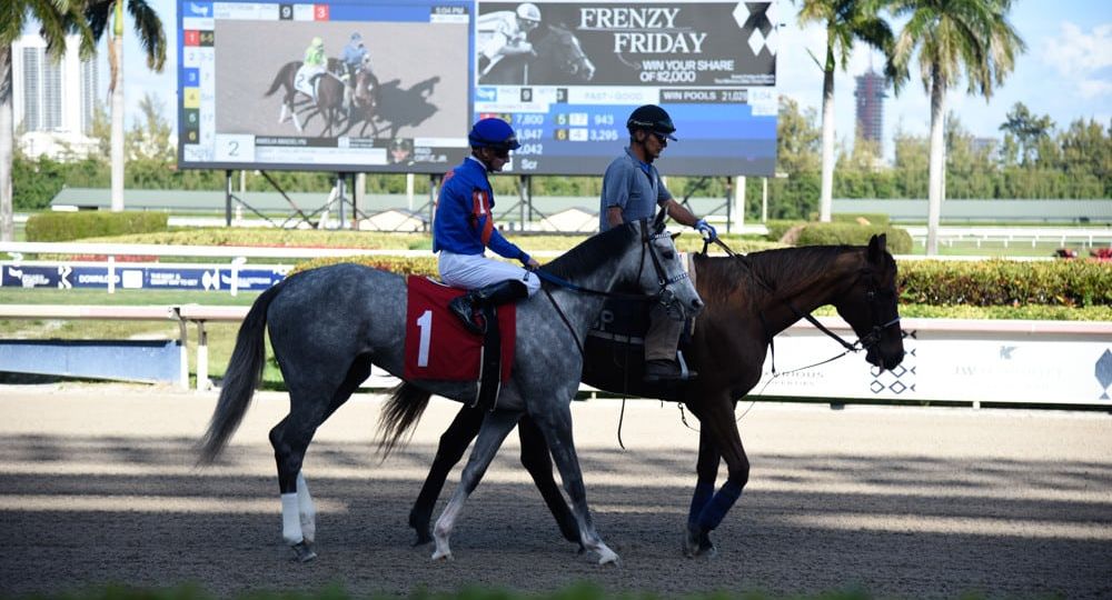 Pegasus World Cup - Analysis and Picks