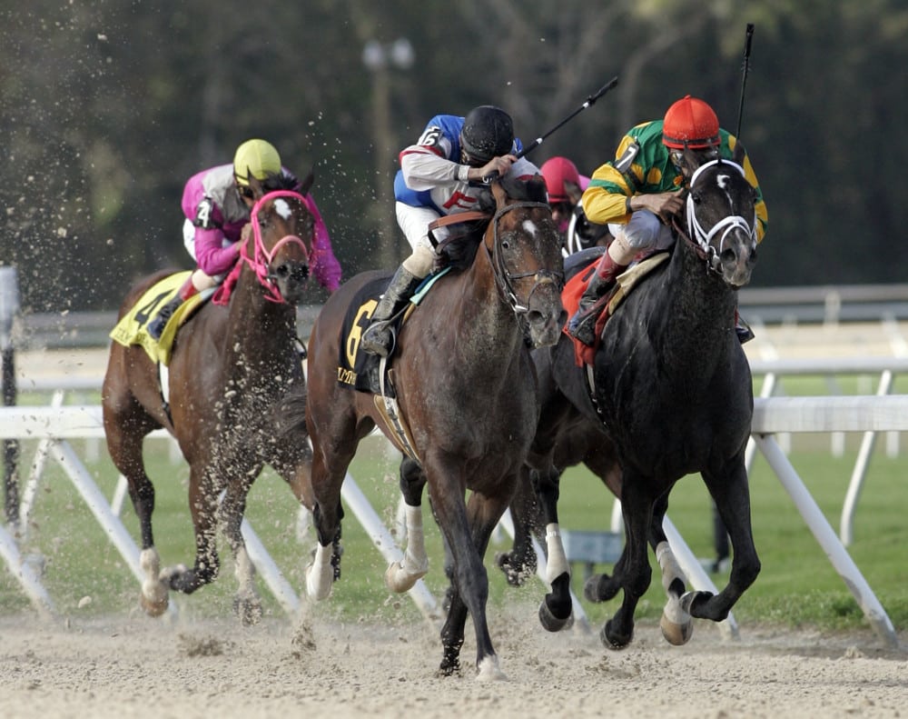 Horse Racing Picks