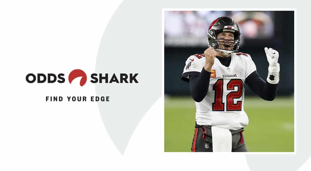 nfl shark odds