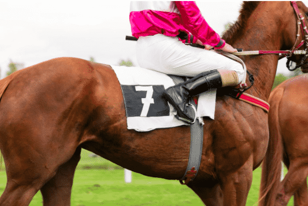 Gambling Tips Horse Racing Gambling Tips Horse Racing