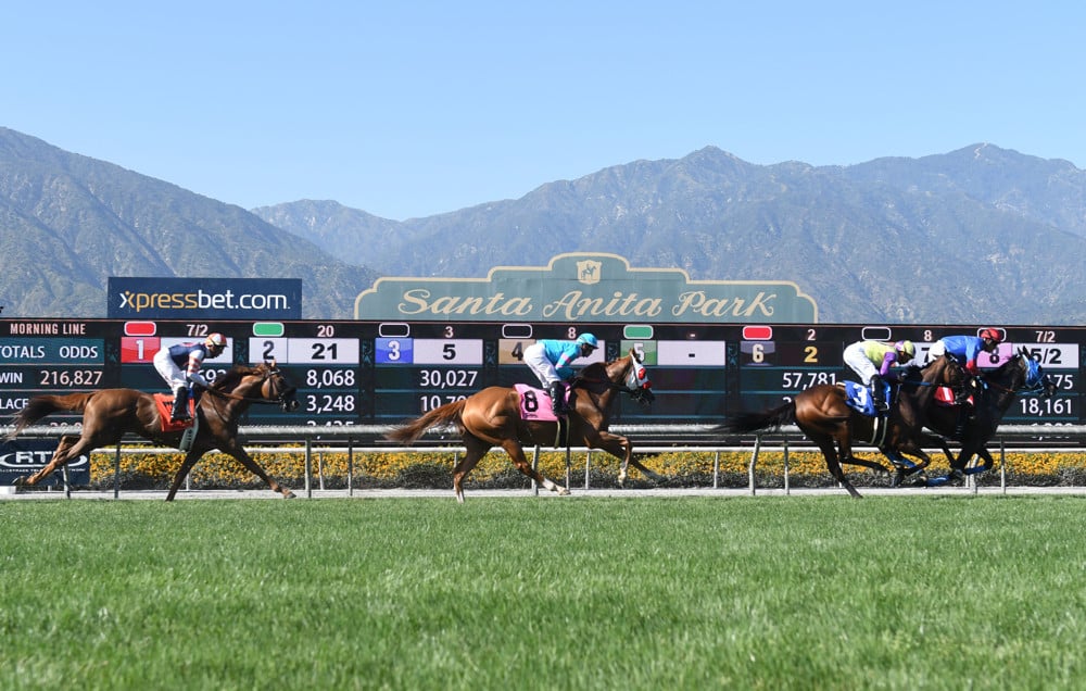 Santa Anita Handicap Analysis and Picks Sports Gambling Podcast
