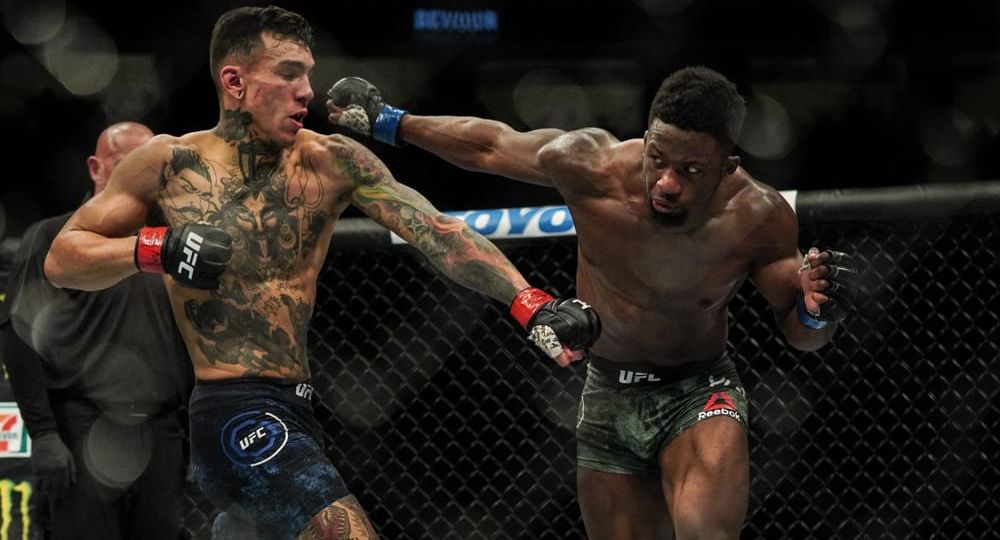 UFC Vegas 30 Predictions