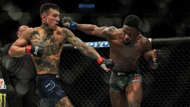 UFC Vegas 30 Predictions