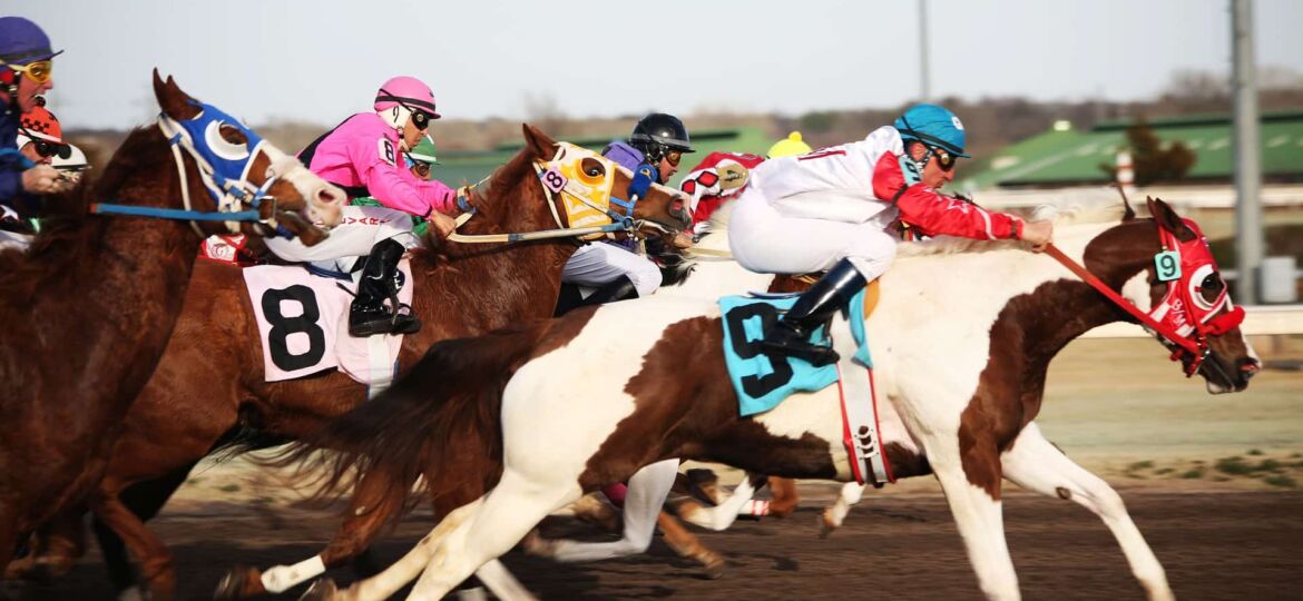 horses-2523301_1920