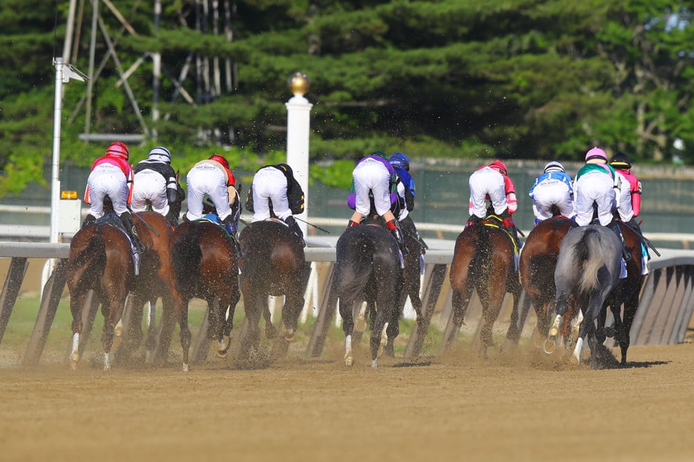 Belmont Stakes 2021 - Analysis and Picks