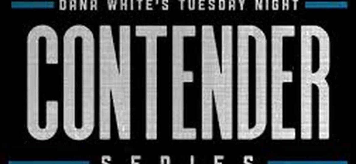 Dana White's Contender Series - Week 2 Predictions