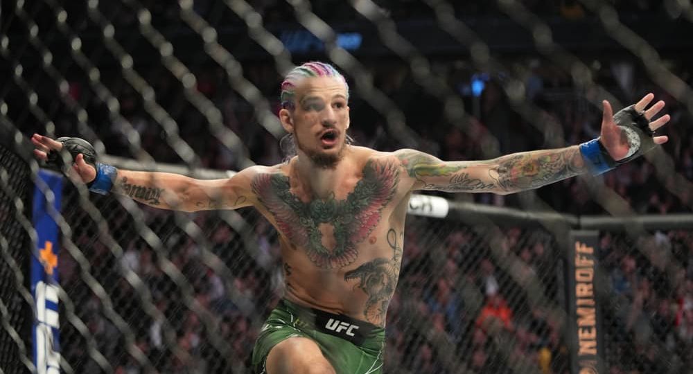 UFC 276 Predictions