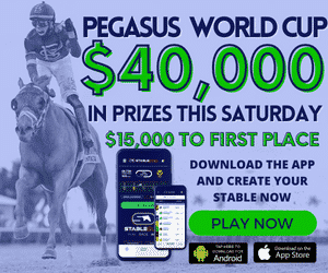 Pegasus World Cup - Analysis and Picks