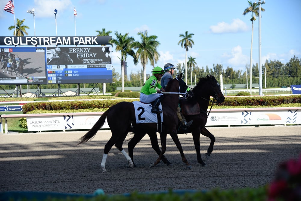 Picks for StableDuel's $30,000 Contest at Gulfstream Park