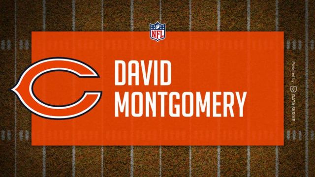 David Montgomery - NFL - Player Prop Predictions, Lines and Trends
