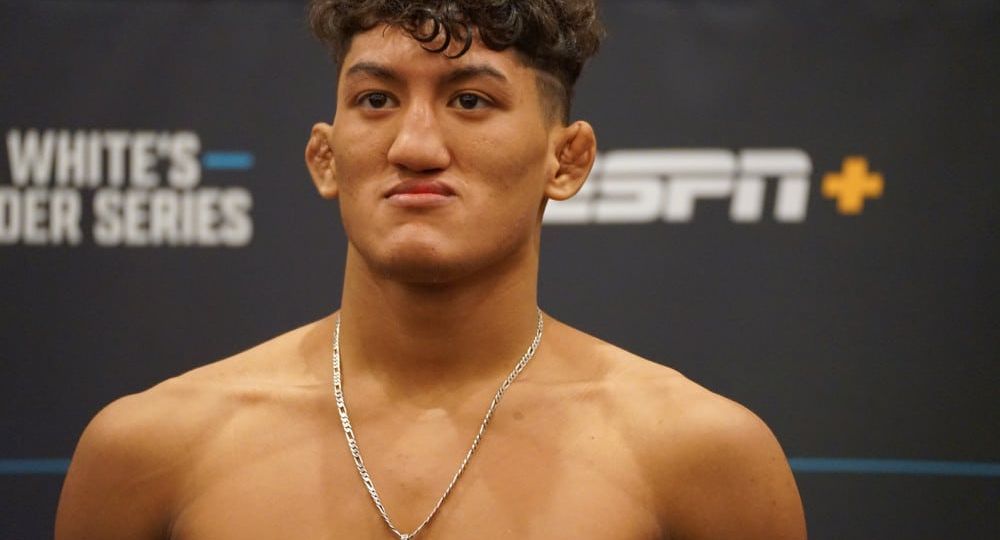 ufc 282 predictions