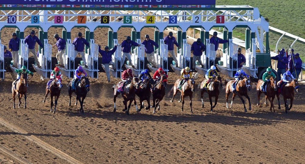 HORSE RACING: NOV 06 Breeders' Cup