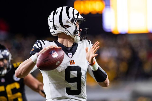 NFL: NOV 20 Bengals at Steelers