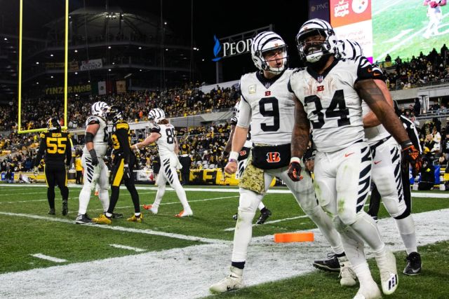 NFL: NOV 20 Bengals at Steelers