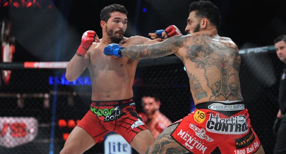 Bellator vs Rizin