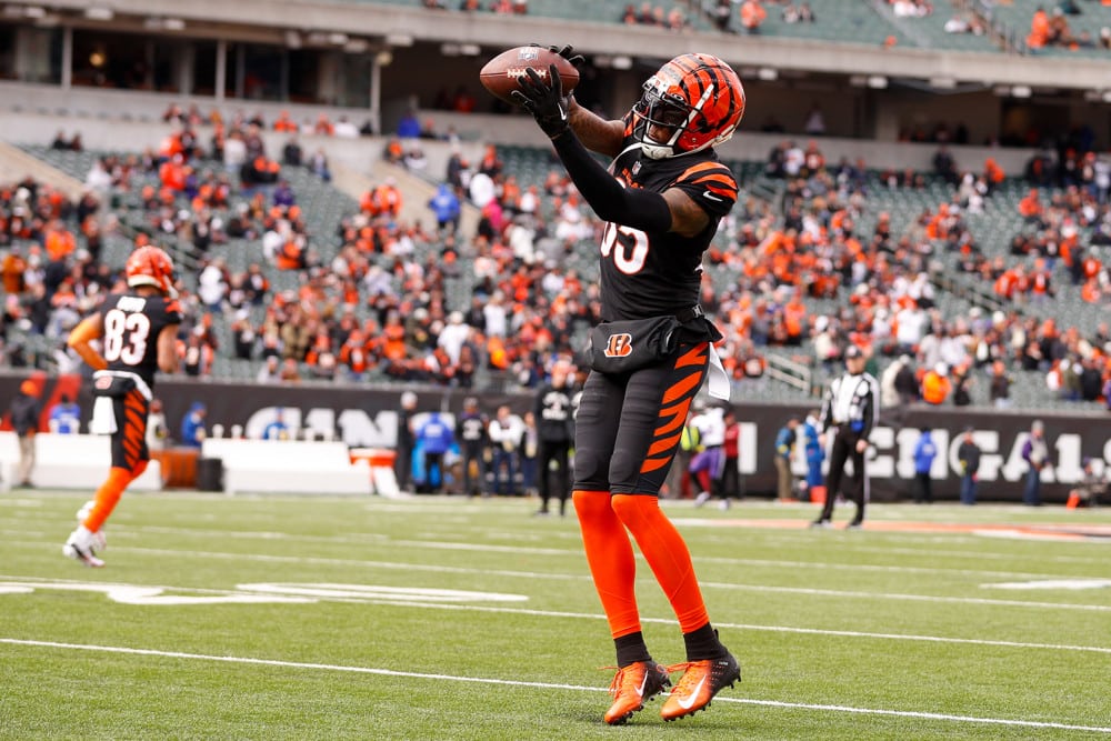 nfl divisional playoff picks