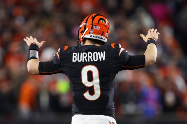NFL: JAN 15 AFC Wild Card Playoffs - Ravens at Bengals