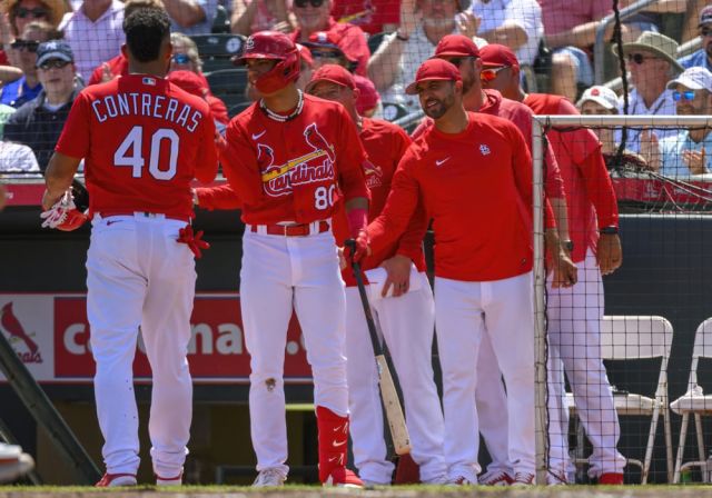 MLB: MAR 18 Spring Training - Tigers at Cardinals