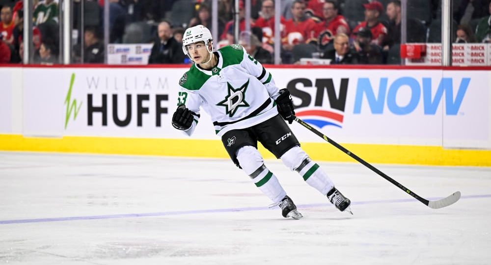 Top Fantasy Hockey Dynasty Stashes
