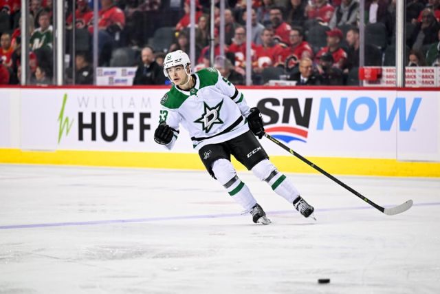 Top Fantasy Hockey Dynasty Stashes
