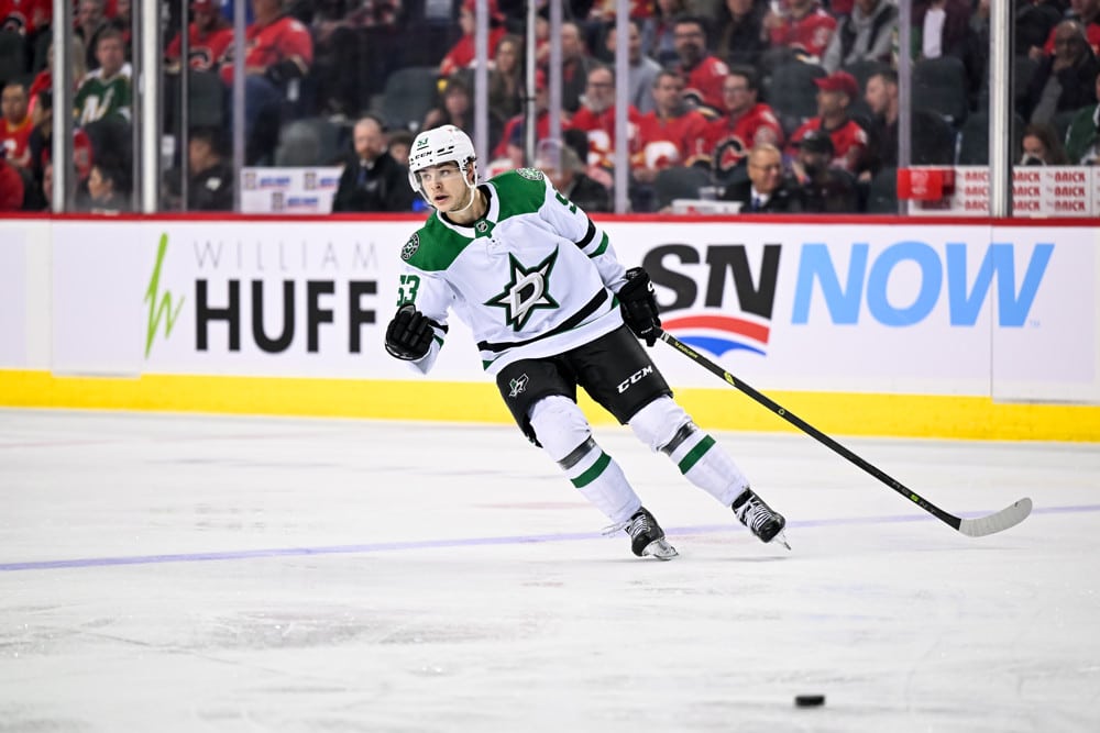 Top Fantasy Hockey Dynasty Stashes