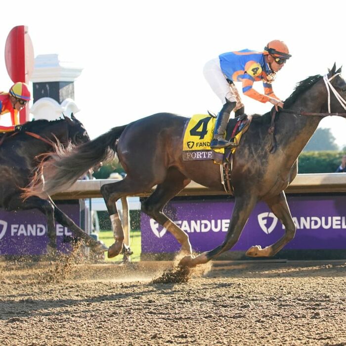 Belmont Stakes 2023 - Analysis and Picks