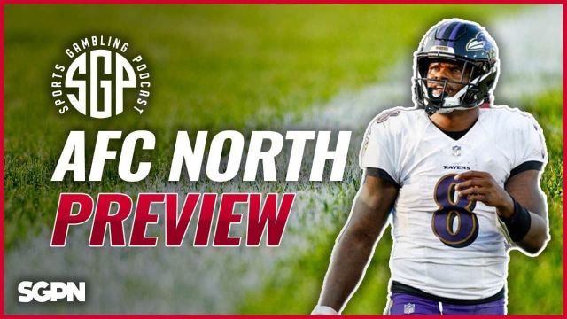 NFL Futures: AFC North Betting Preview