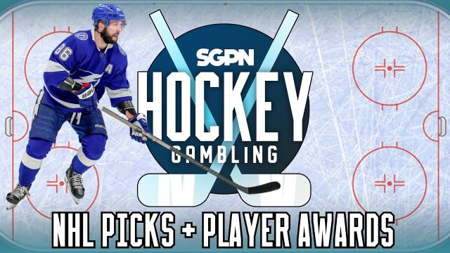 NHL Picks (Saturday 11/25) + NHL Awards Updates | Hockey Gambling Podcast (Ep. 276)