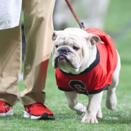 College Football Bowl Picks and Bets for December 30