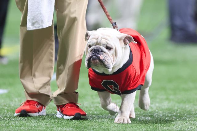 College Football Bowl Picks and Bets for December 30