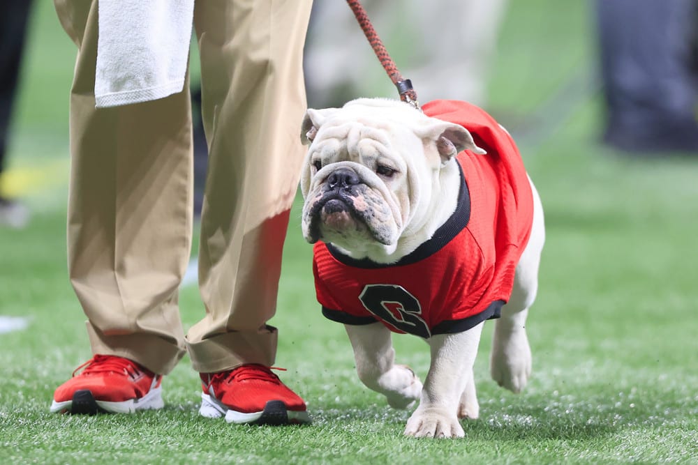 College Football Bowl Picks and Bets for December 30