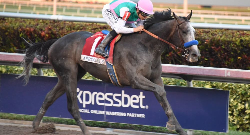 Pegasus Horse Racing