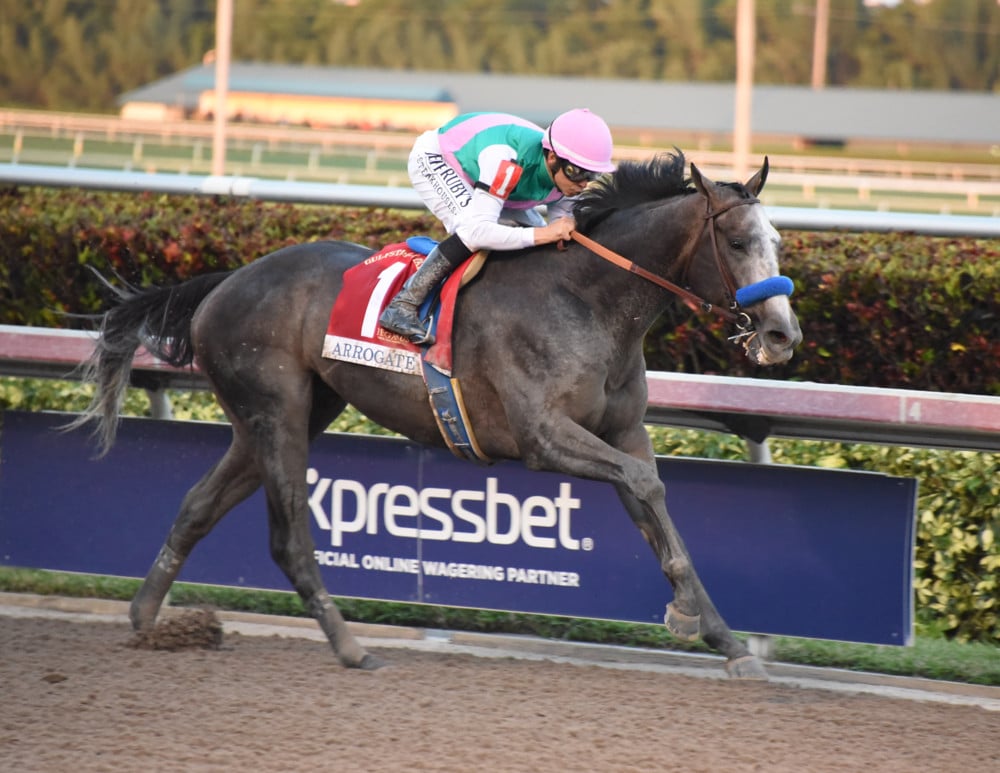 Pegasus Horse Racing