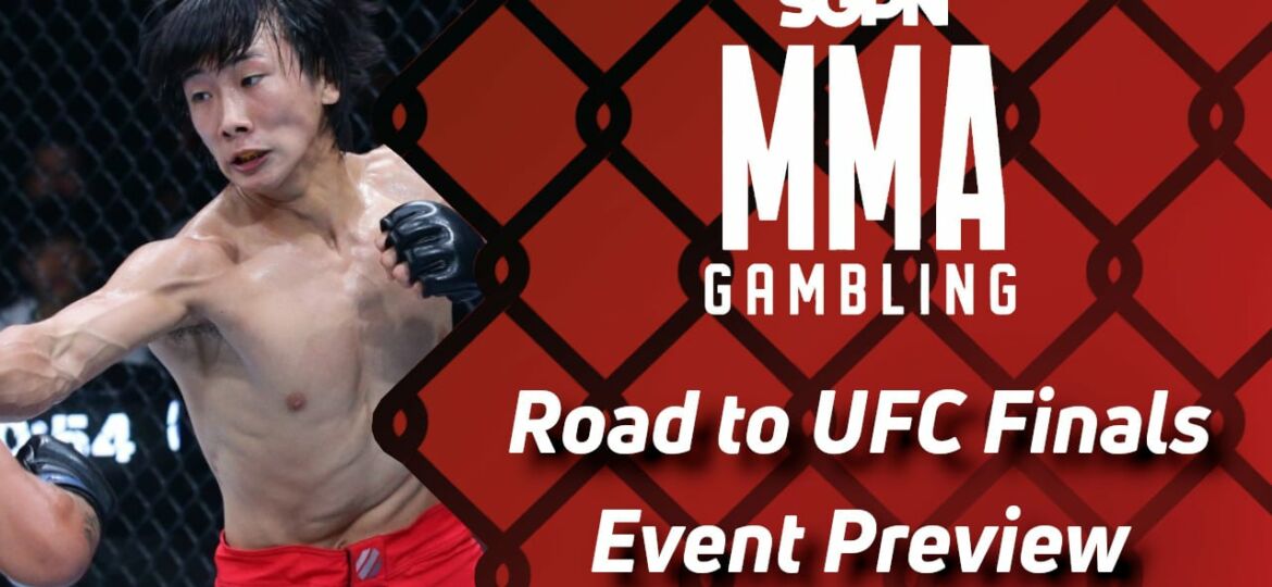 Road to UFC Finals Betting Guide (Measuring Unit Sizes) | MMA Gambling Podcast (Ep.494)