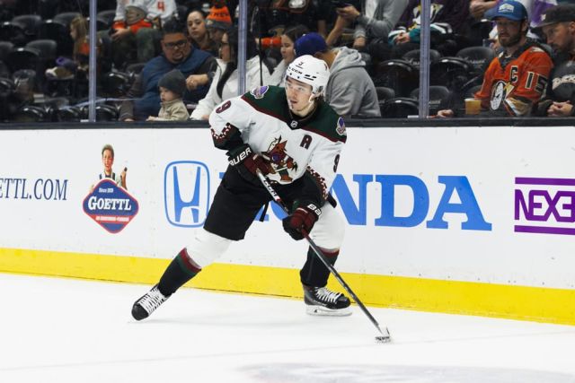 NHL: DEC 29 Coyotes at Ducks