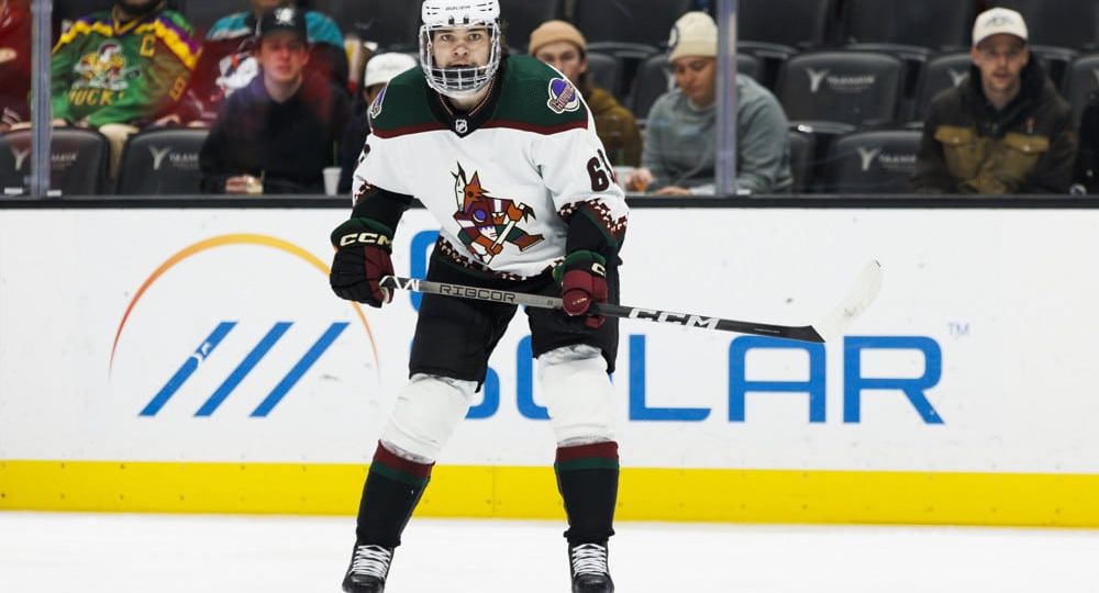 NHL: DEC 29 Coyotes at Ducks