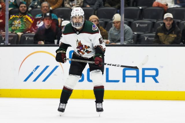 NHL: DEC 29 Coyotes at Ducks