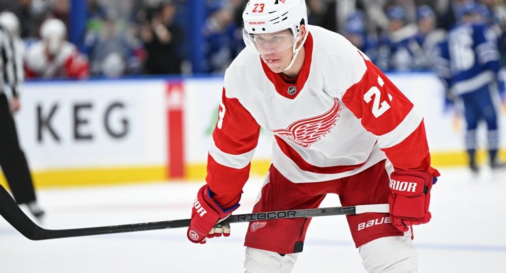 NHL: JAN 14 Red Wings at Maple Leafs
