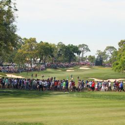 2024 Valspar Championship Preview
