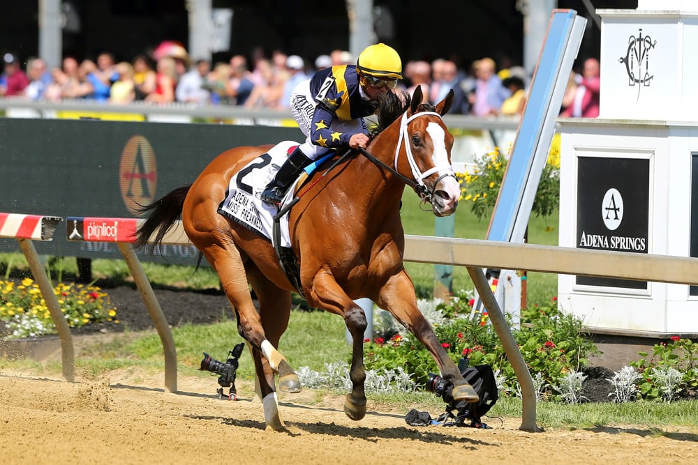 2024 Preakness Stakes Preview
